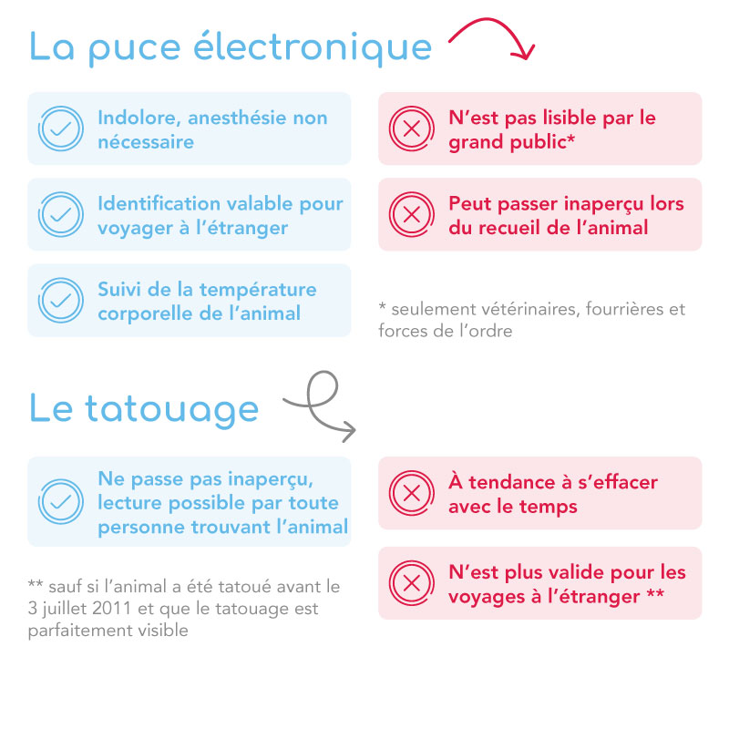 Odoo • Image et Texte